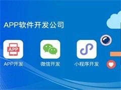 廈門系統軟件開發